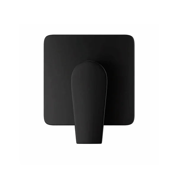 PLAIN BLACK SHOWER MIXER