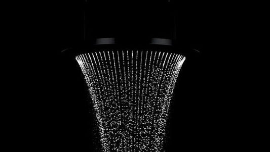 BLACK SHOWER HEAD 12