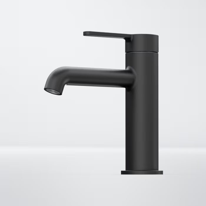 BLACK SWAN BASIN FACUET